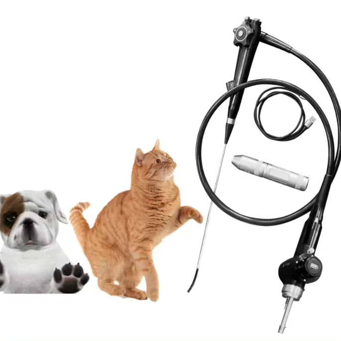 The new model veterinary insemination instrument semi-curved endoscope for dogs and cats insemination MSLSY60.