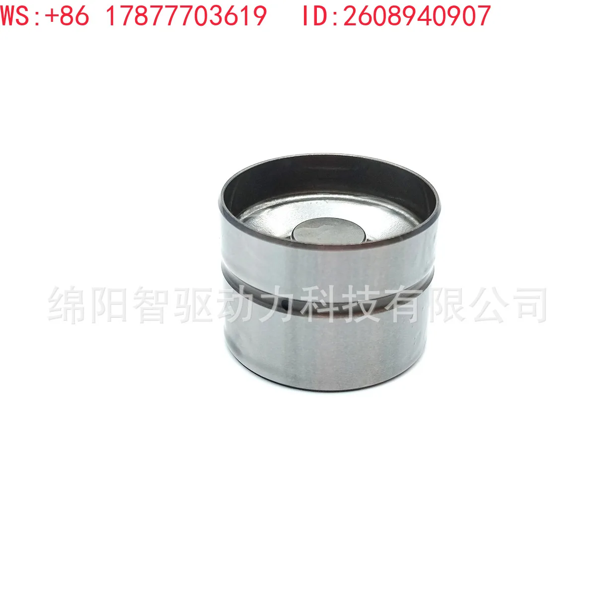 （2PCS）Engine valve hydraulic tappet tappet 034109309 034109309AD