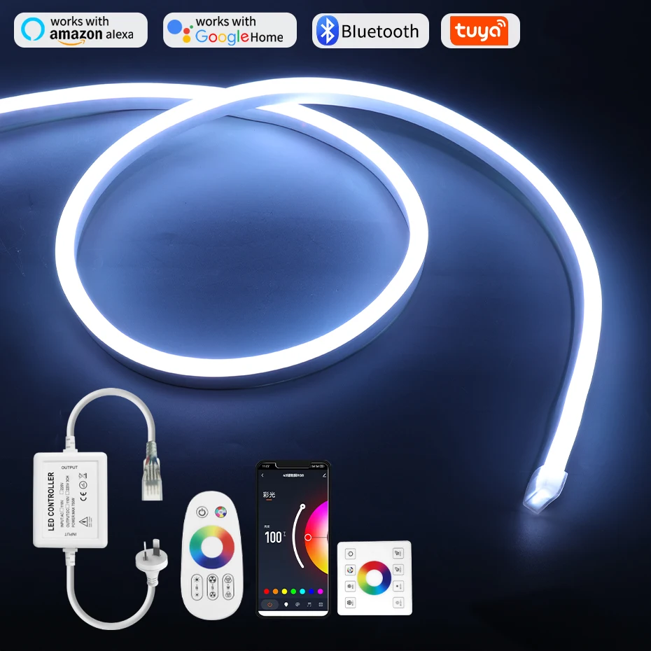 Waterproof 220V RGB LED Strip Neon Light with AU Power Plug RF Remote Dimmable Led Tape Ribbon For Outdoor Decoration Lighting