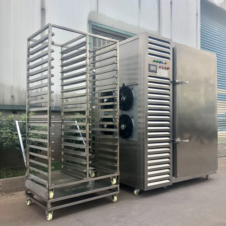 Commercial Adjusted Speed Industry Fast Freezing Cabinet