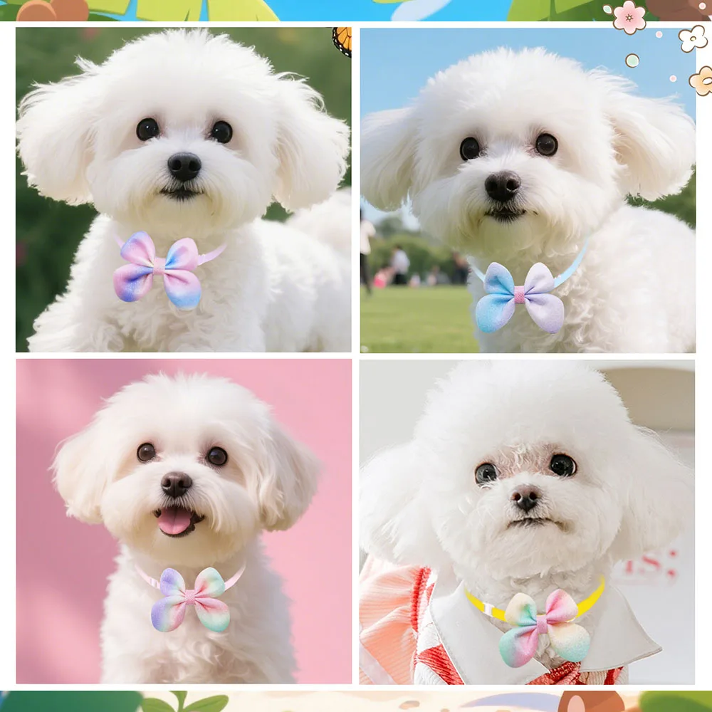 Thumbnail 2 - #32 Top Pet Grooming Supplies Picks for Every Budget