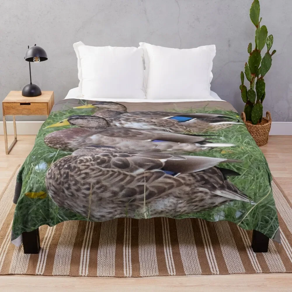 

Three in a row Throw Blanket Stylish Warm Blanket for Living Room Bedroom