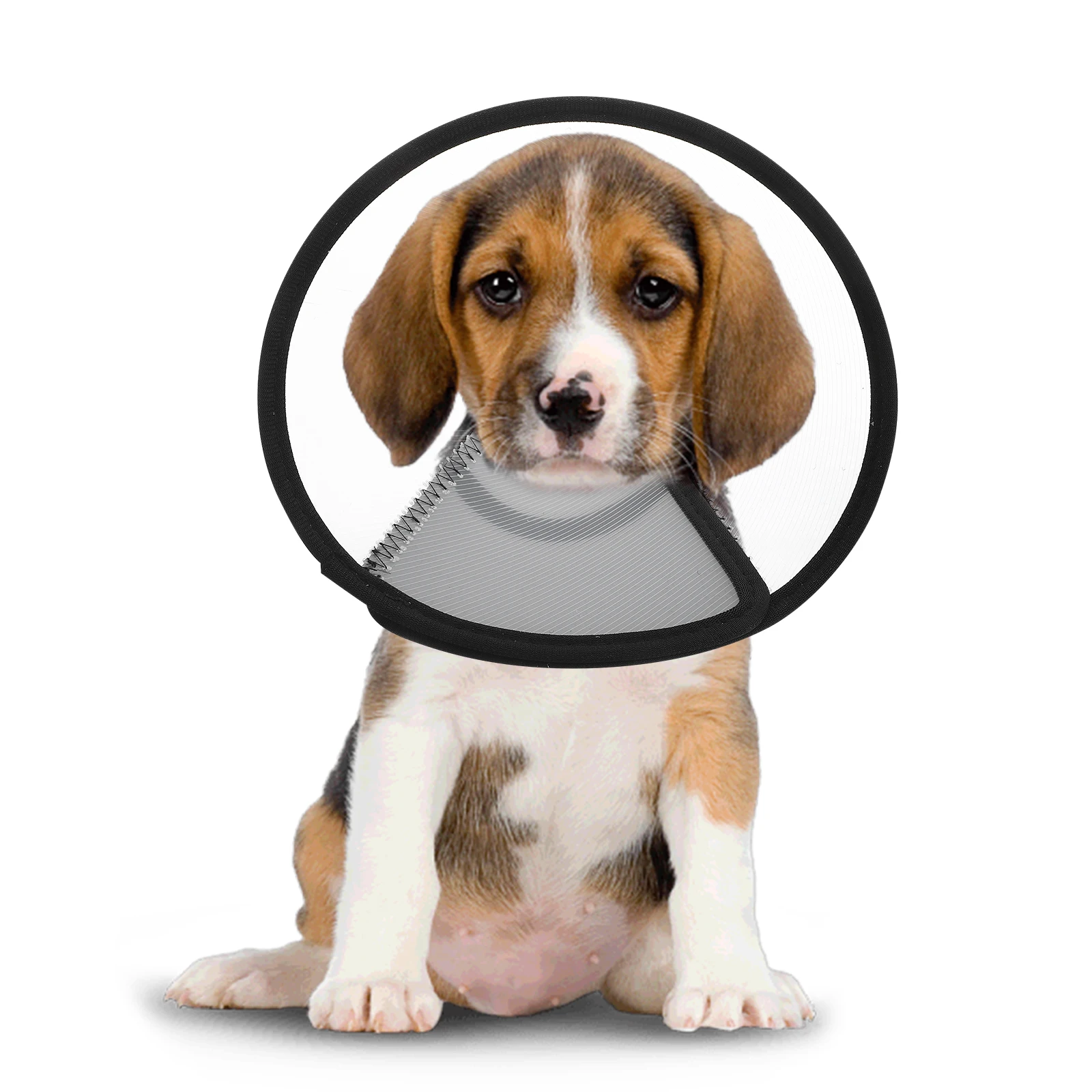 

4pcs Pet Recovery Collar Adjustable Dog Cone Collar Anti Bite Neck Cover For Cats Dogs Wound Healing Lightweight Transparent 360