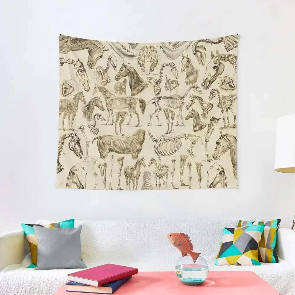 

Horse Anatomy (tan print) Tapestry Decoration Aesthetic Room Decor For Girls Room Decoration Aesthetic Tapestry