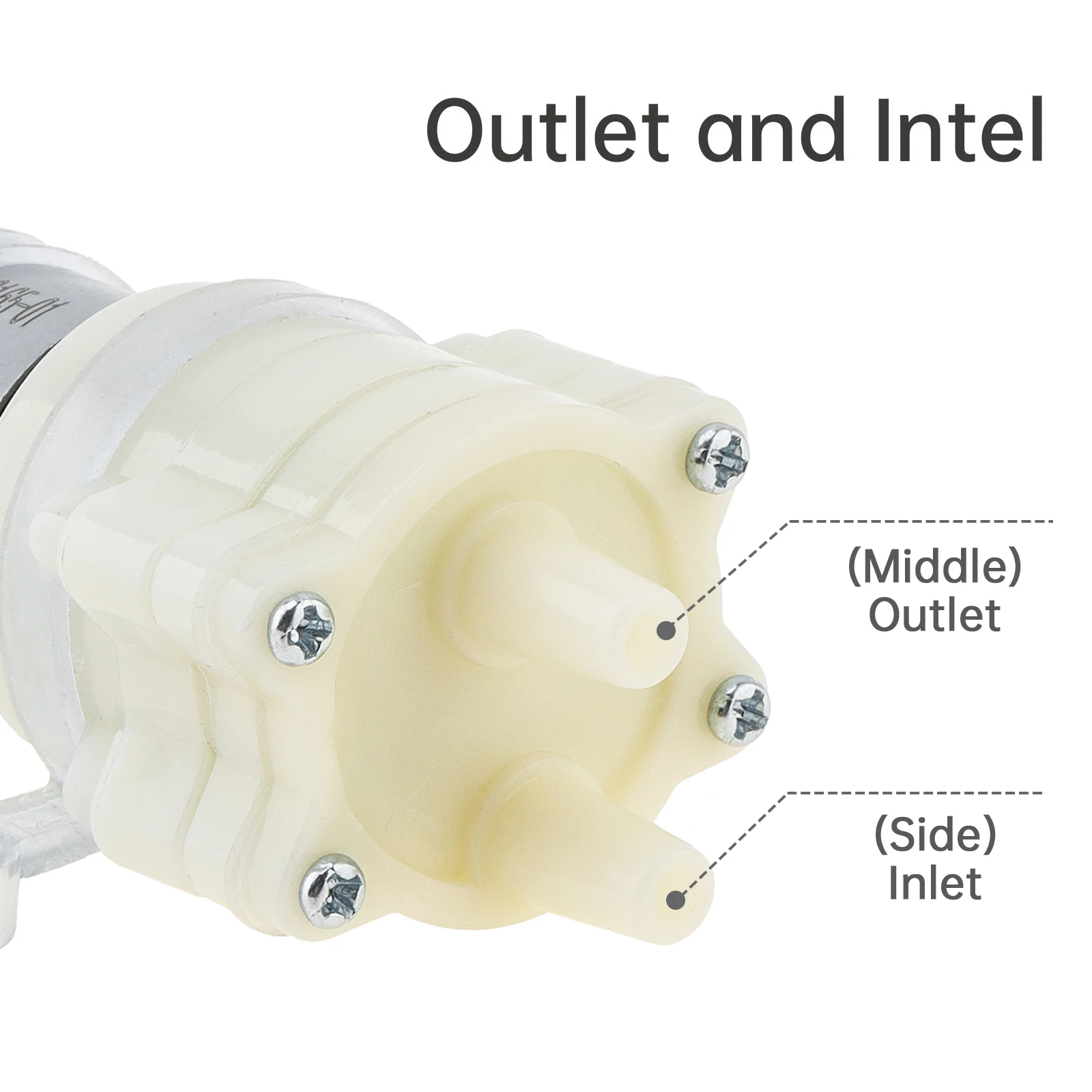 Micro Water Pump 365 DC Motor 12V Self Priming Pump Large Flow 2- 3L/Min Silent Electric Diaphragm Pump for Water Dispenser view 3
