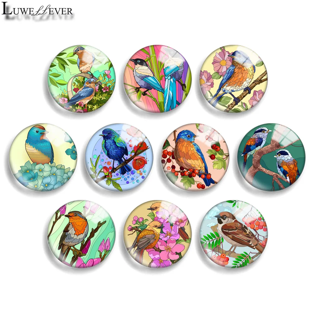 10mm 12mm 20mm 25mm 30mm 40mm 836 Bird Mix Round Glass Cabochon Jewelry Finding 18mm Snap Button Charm Bracelet