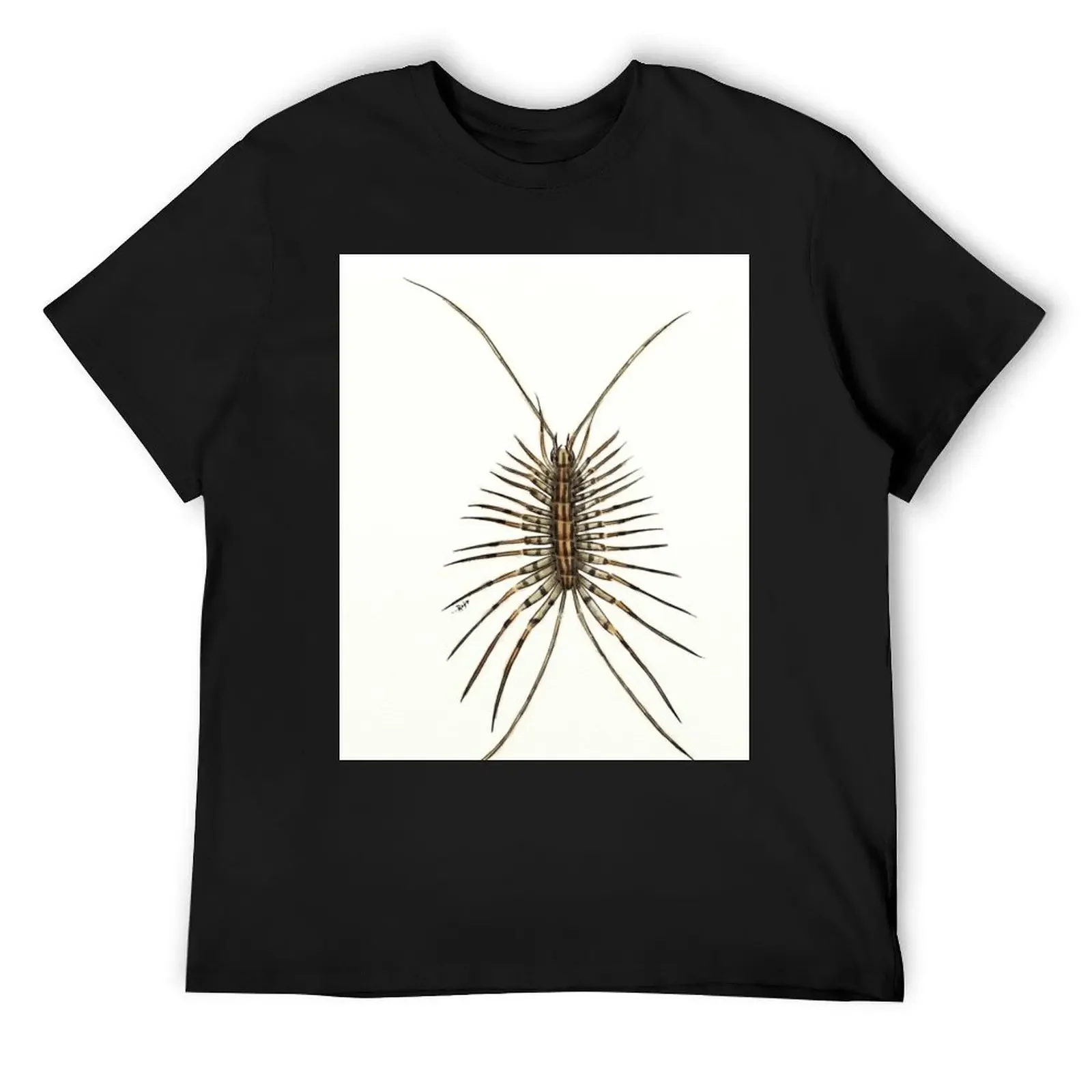 Scutigera coleoptrata (house centipede) T-Shirt blacks animal prinfor boys custom t shirt mens workout shirts