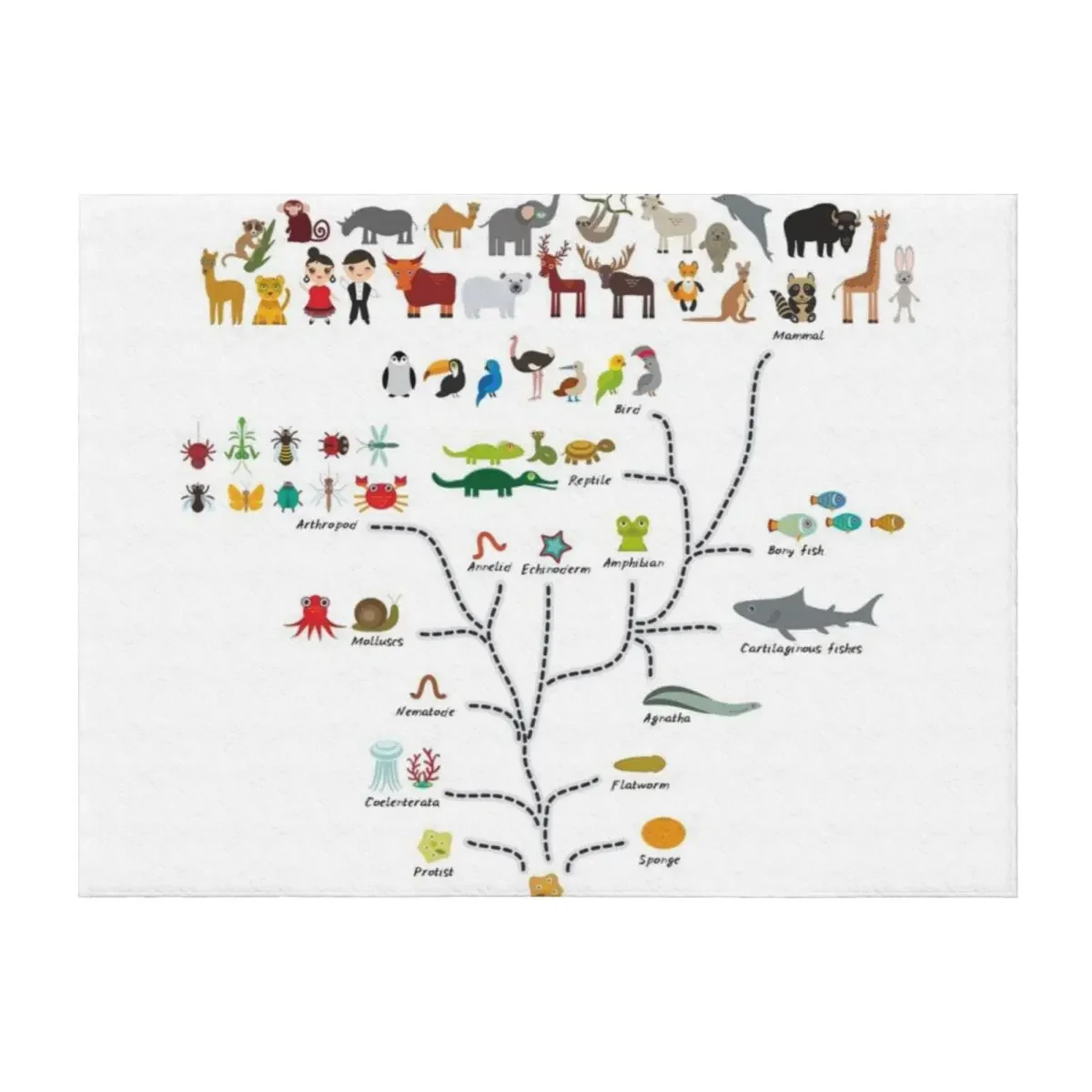 

Evolution scale from unicellular organism to mammals. Evolution in biology, scheme Throw Blanket Stuffeds Baby Blankets