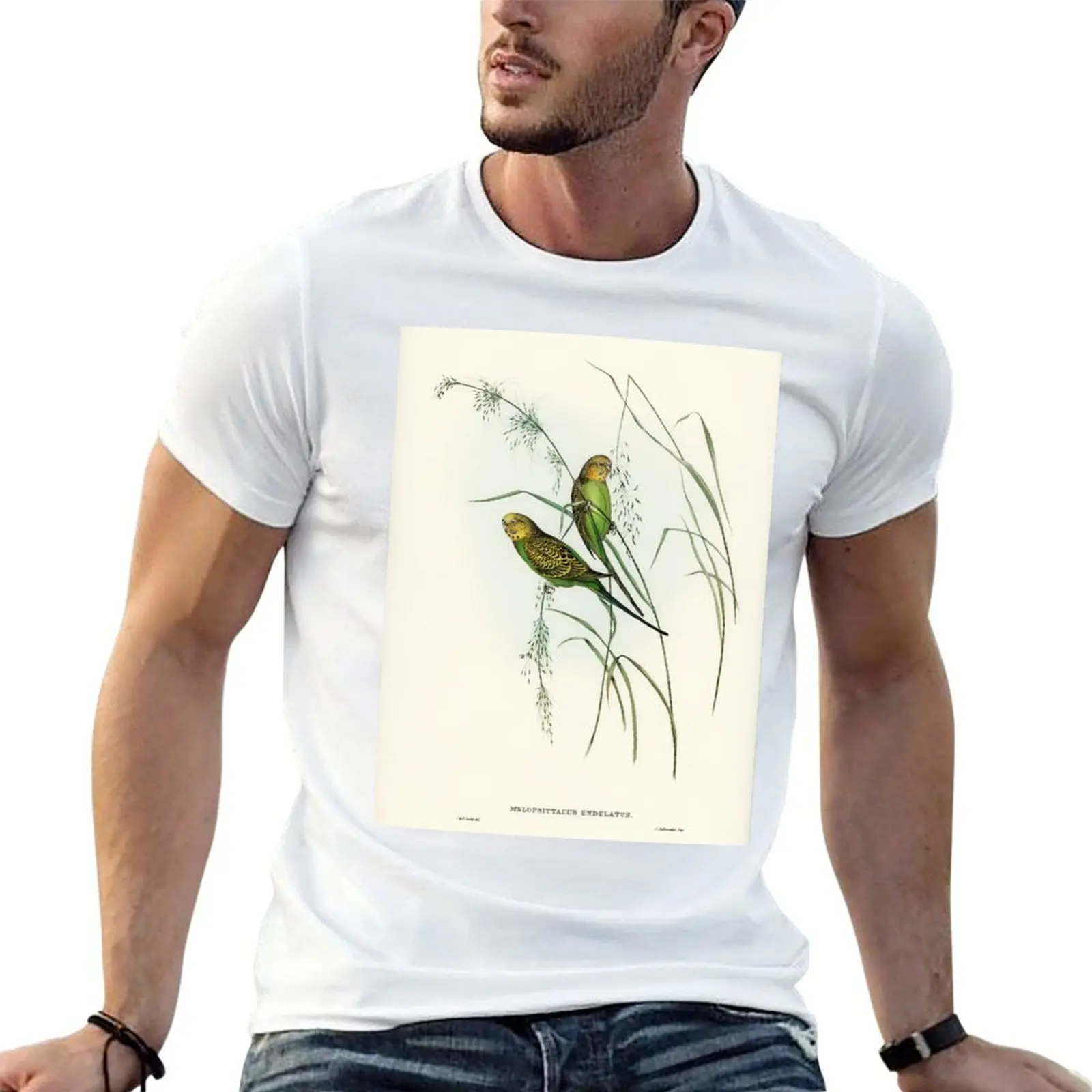 

Gould Australian Budgerigars T-Shirt t shirts for man cotton soft t shirts for man pack cotton t shirt man luxury T-shirt