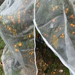Thicken 60Mesh NEW HDPE Farm Fruit Tree Anti Bird Netting Garden Greenhouse Vegetable Plants Protection Cover Mesh