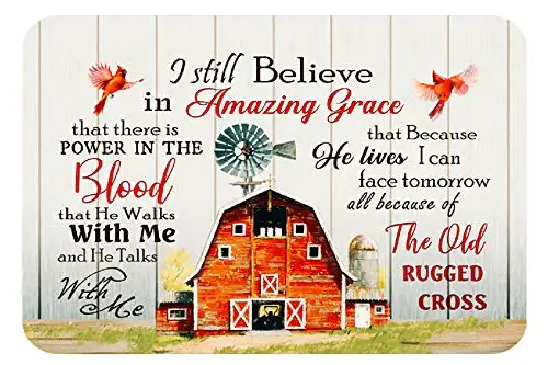 SHARPE Vintage Metal Signs Cardinal Bird and Windmill I Still Believe in Amazing Grace Bedroom Wall Decoration Tin Signs for Ho