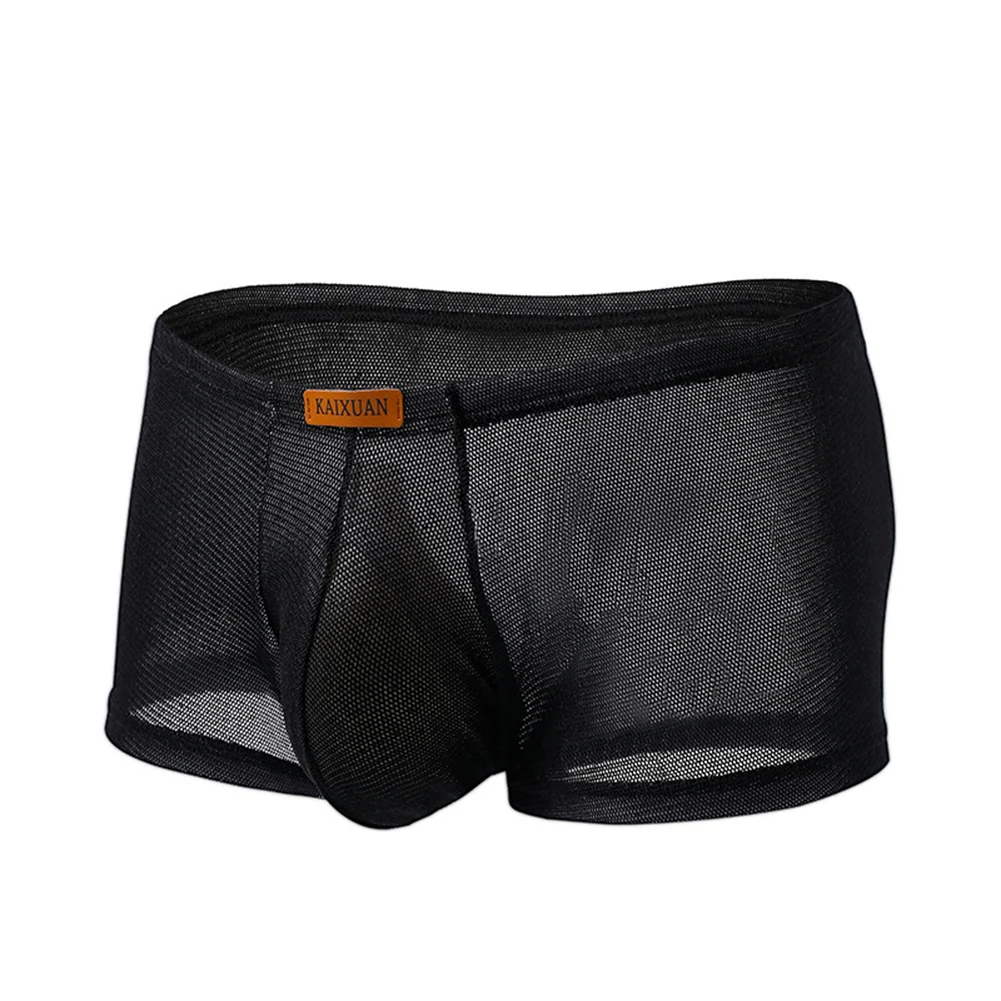 Men's See-Through Mesh Boxer Briefs Breathable Quick Dry Underwear Elastic Waistband Comfortable For All Day Wear