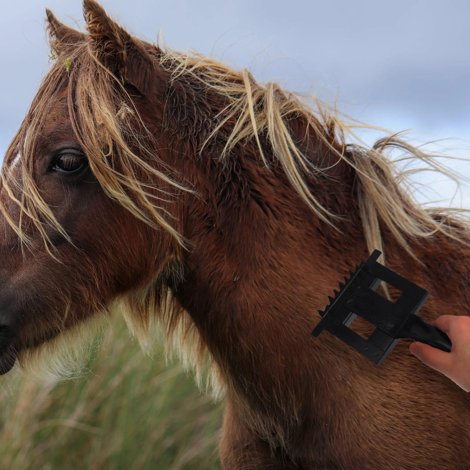1 قطعة مكشطة الحديد المسننة فرشاة شعر الماشية حجم كبير تساقط مشط قبضة مريحة لوازم التهيأ للماشية #4