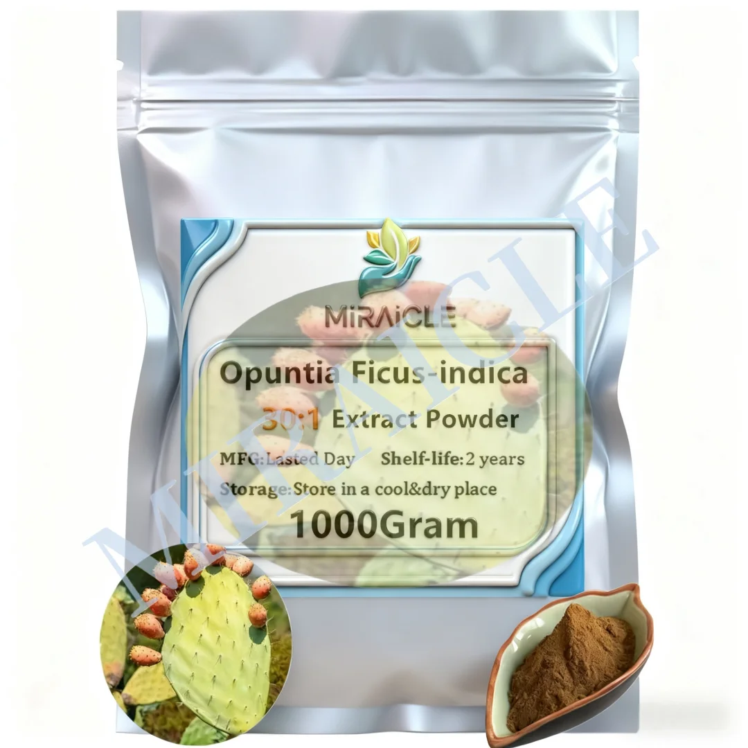 saco-de-folha-de-aluminio-de-4-camadas-100-extrato-de-ficuscactus-de-opuntia-30-1-saco-plastico-de-dois-andares-para-distribuidores-globais