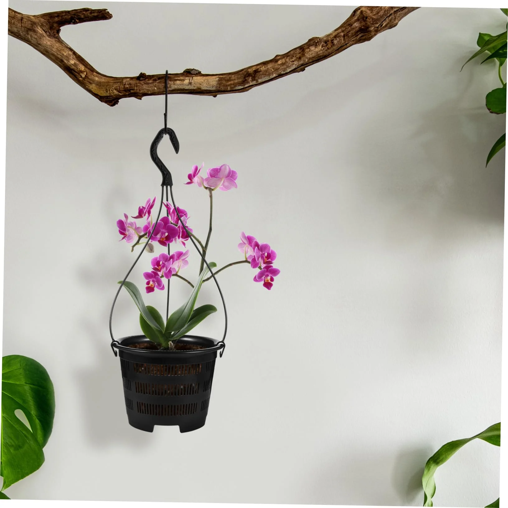 

6Sets Hanging Plant Pot Plastic Orchid Planter with Hook Root Controlling Pot for Indoor Outdoor Balcony Patio Garden Home Decor