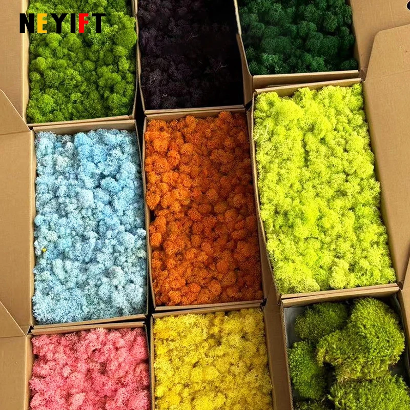 رخيصة 500/100 جرام النباتات الخضراء الاصطناعية الحياة الأبدية الطحلب العشب المشهد الصغير العشب وهمية Crafts بها بنفسك الحرف حديقة ديكور المنزل المعيشة