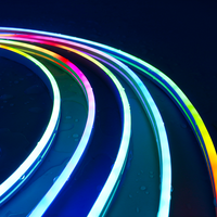 Dream Color LED Neon Strip WS2811 5050 RGBIC P67 Waterproof   Addressable Smart IC Flexible Light Tape for Room DIY DC12V/24V