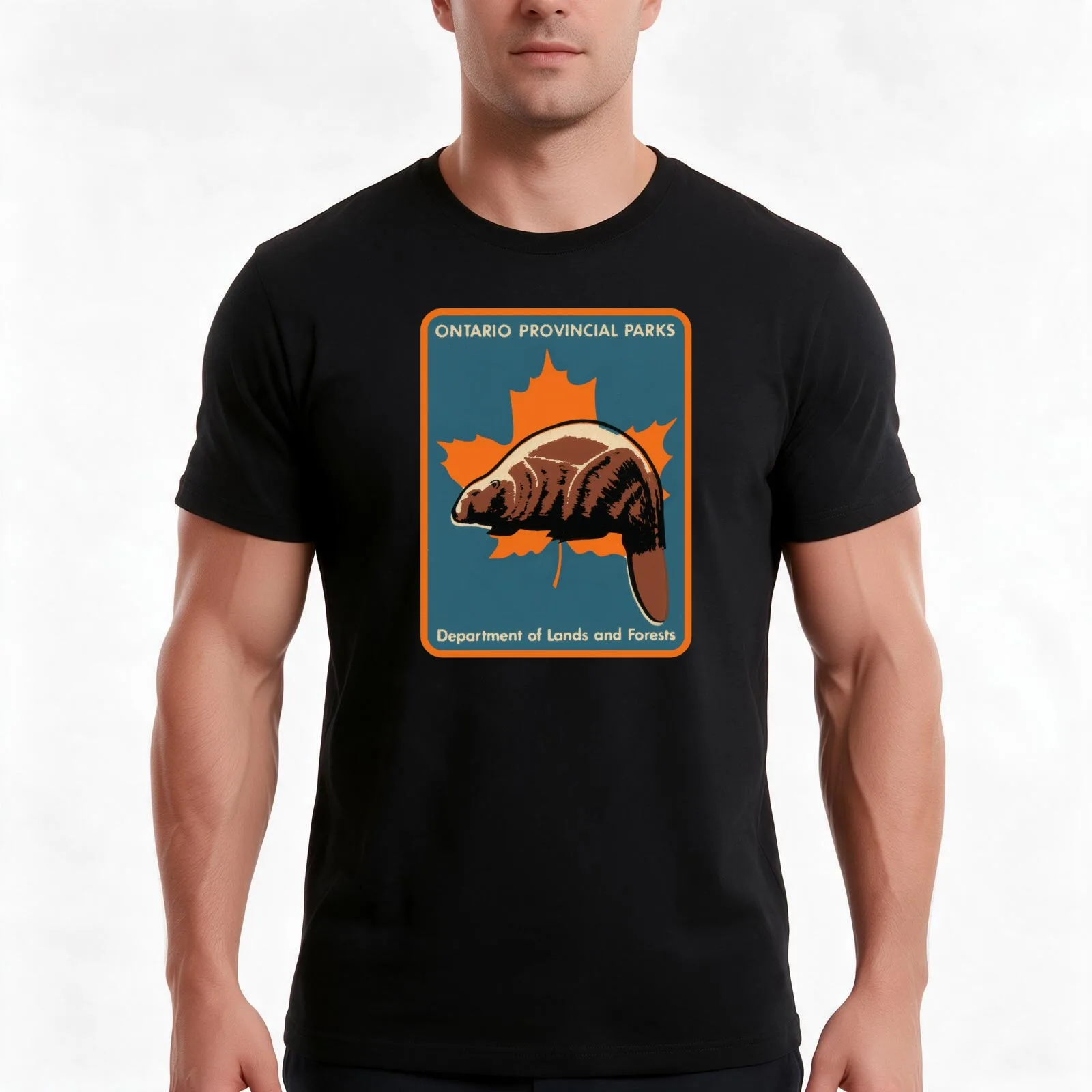 Ontario Provincial Parks T-Shirt, Summer Casual Cotton Tee, Oversized Streetwear Tops, Vintage Graphic Print, Unisex Men Women