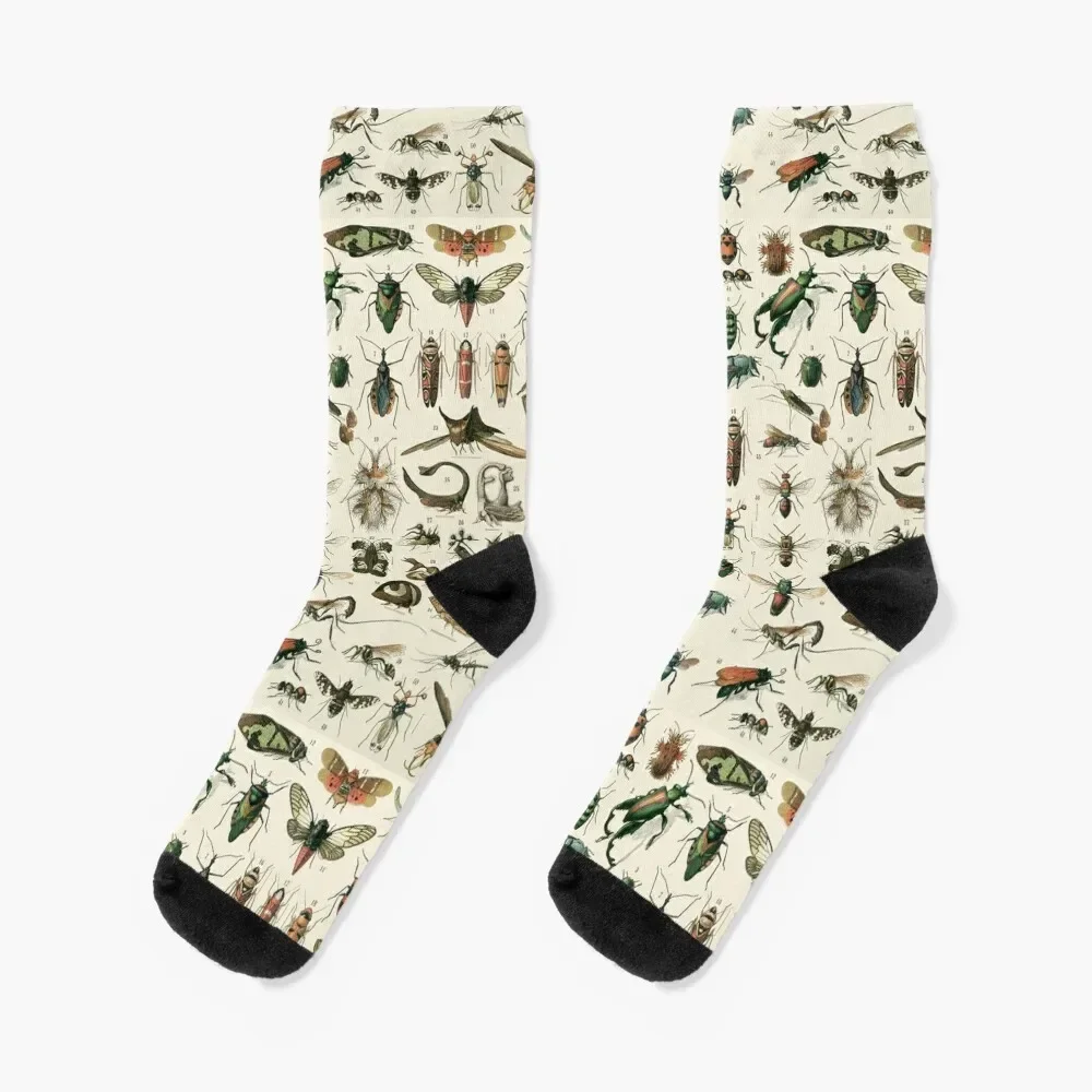 Insects 2 Socks Run designer brand retro kawaii Girl'S Socks Men's