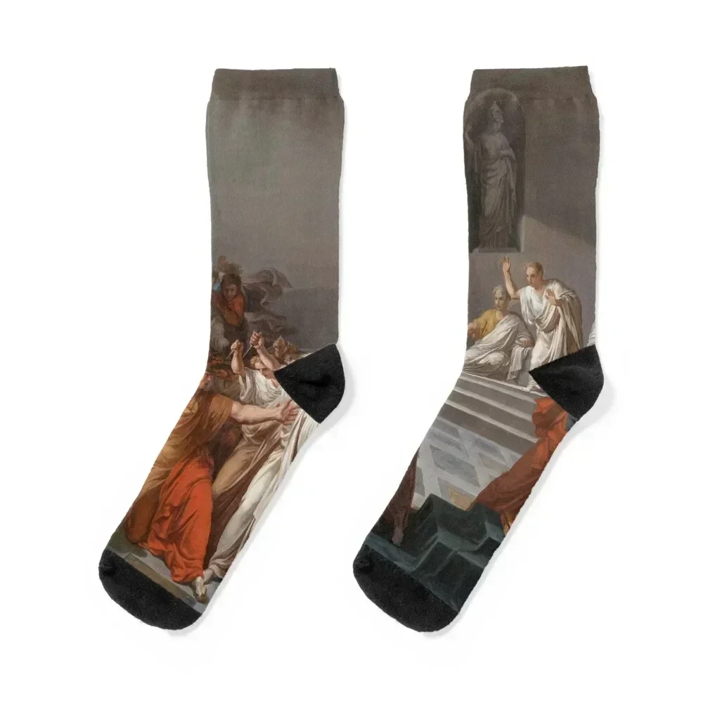 

Gaius Julius Caesar. Socks professional running loose Women's Socks Men's