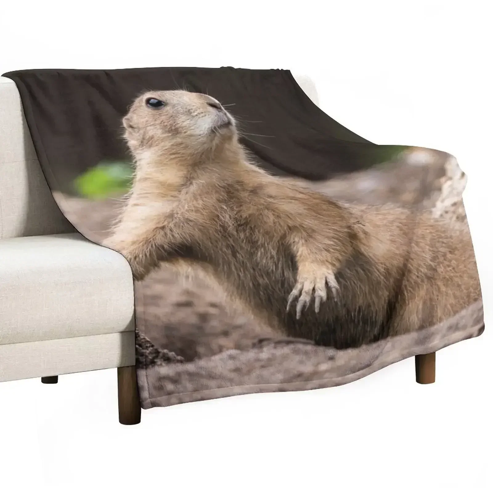 

Black Tailed Prairie Dog Throw Blanket Soft Bedroom Blanket for Night Sleeping