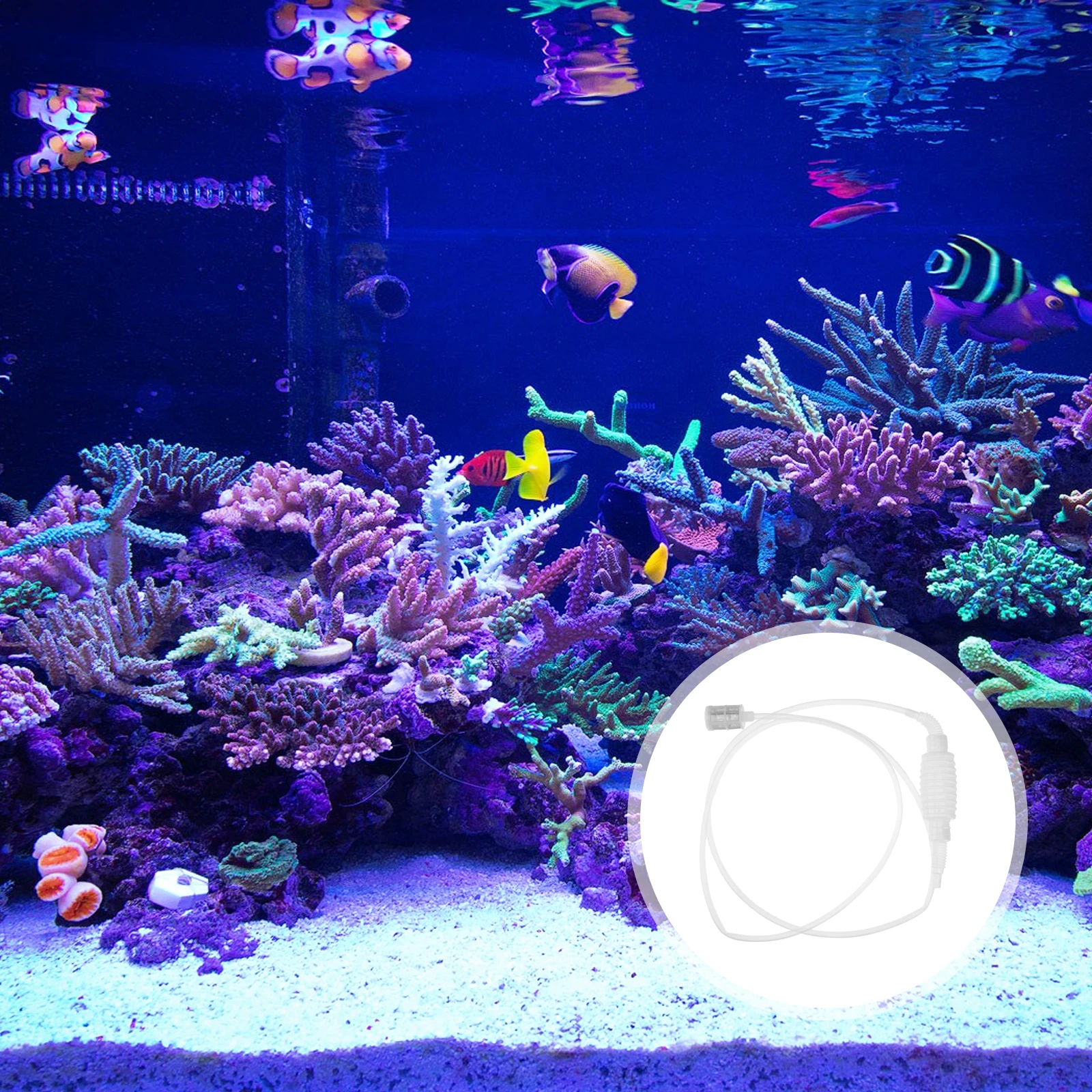 

Plastic Fish Tank Cleaner Aquarium Water Filter Tool White Gravel Washing Durable Practical Home Use Siphon Cleaner Multi Scene