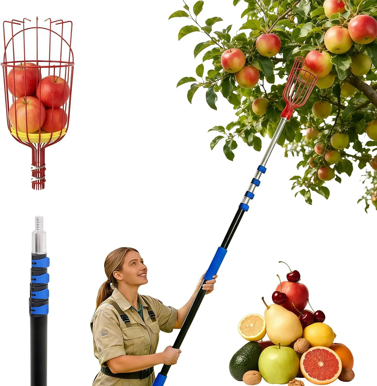 

26FT Telescoping Fruit Picker Pole with Basket, Extendable Aluminum Harvesting Tool for Apples, Avocados, Mangoes, Citrus Fruits