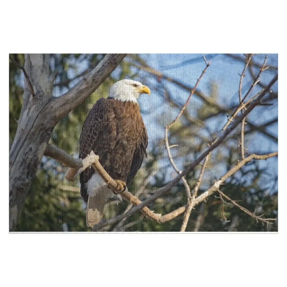 

American Bald Eagle Jigsaw Puzzle Wooden Boxes For Children Puzzle