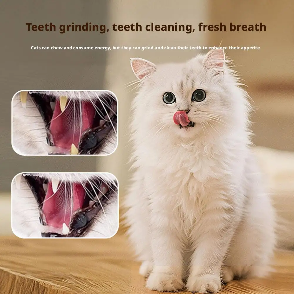 ألعاب مضغ القطط التفاعلية ألعاب الأسماك المشوية المولي سيلفرفين لعبة دعابة القط نظيفة الفم هريرة اللعب لعبة مستلزمات الحيوانات الأليفة الملحقات