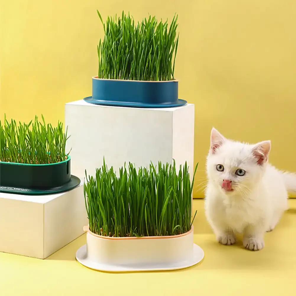 Pet Cat Grass Potted Hydroponic Plant Seedling Tray Growing Pot Reusable Garden Catnip Digestion Cleaning Stomach Grass Grow Box