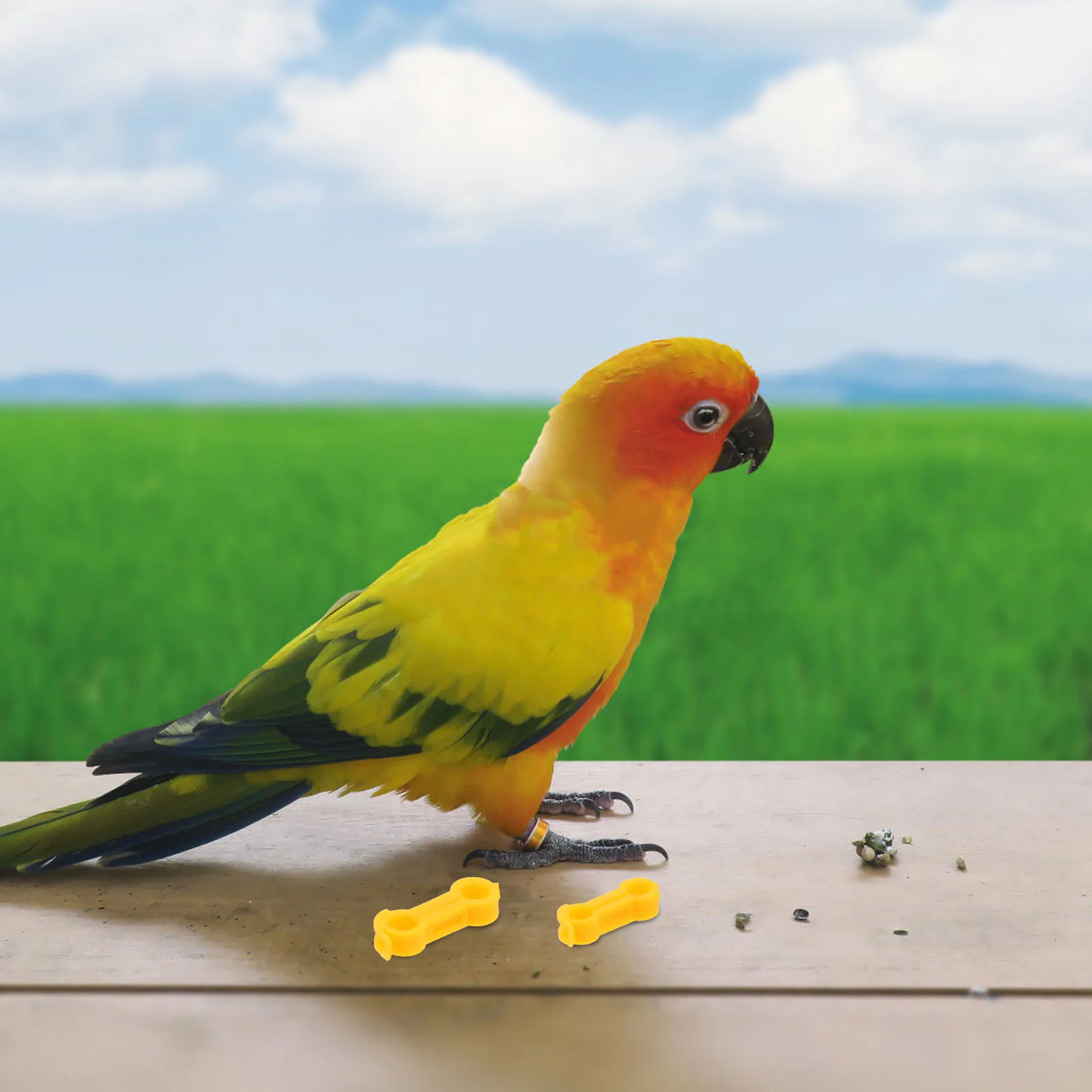 

10Pcs Parrot Leg Rehabilitation Splint Bird Foot Straightener for Splayed Legs Comfortable Leg Posture Corrector for Multiple