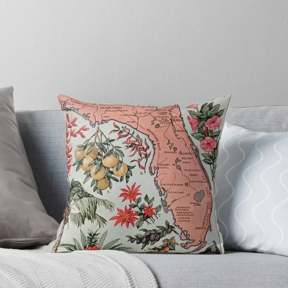 antique Map of Florida (1917) Throw Pillow Cusions Cover Pillow Case Christmas home decor items pillow