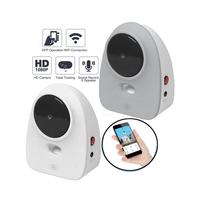 1080P HD WiFi Pet Camera Feeder Night Vision Pet Smart Companion Robot Dog Treat Dispenser