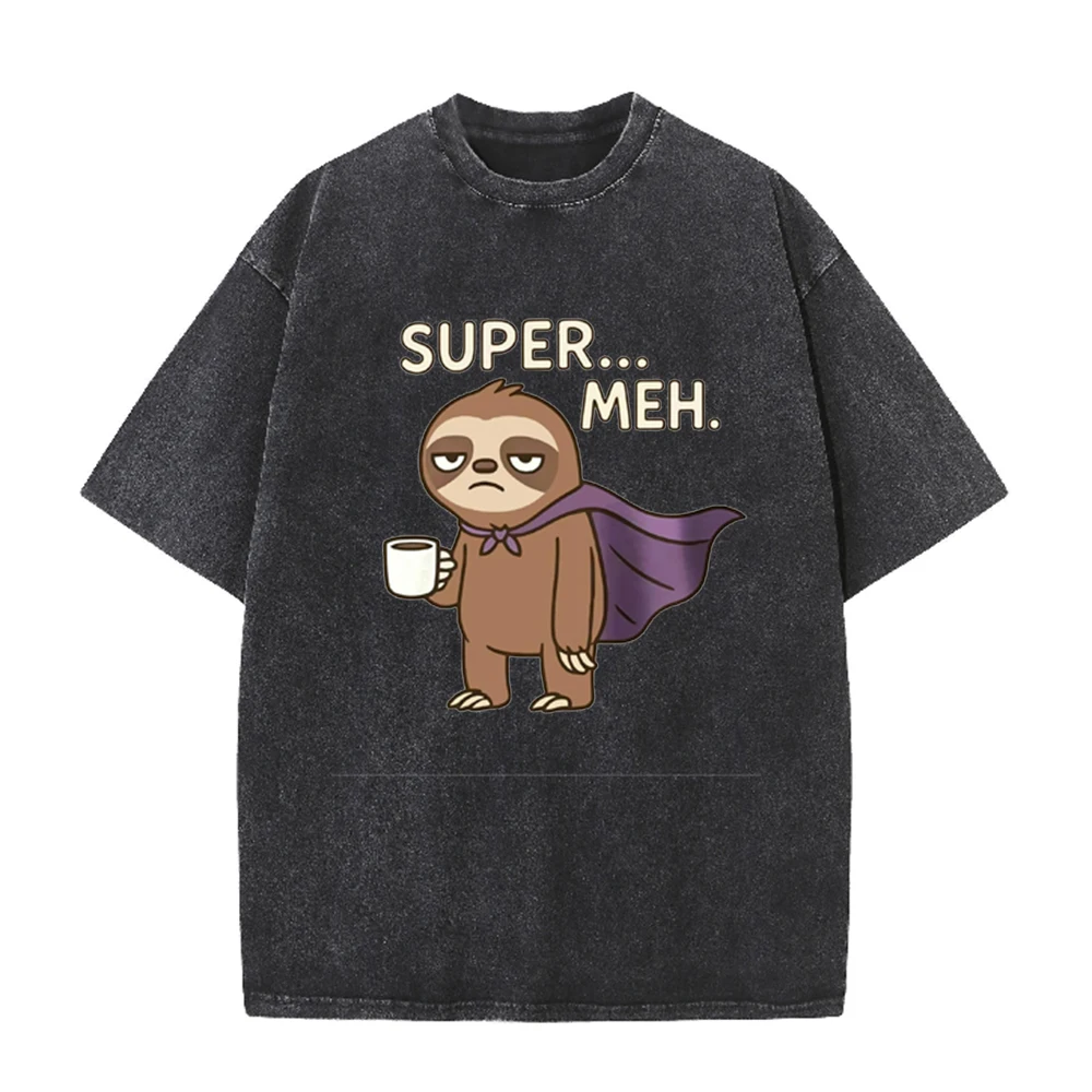 Not Fast Not Furious Cute Sloth Male T Shirts Hip Hop Crewneck Short Sleeve Summer Cotton Tops Casual Sweat Oversized T-Shirts