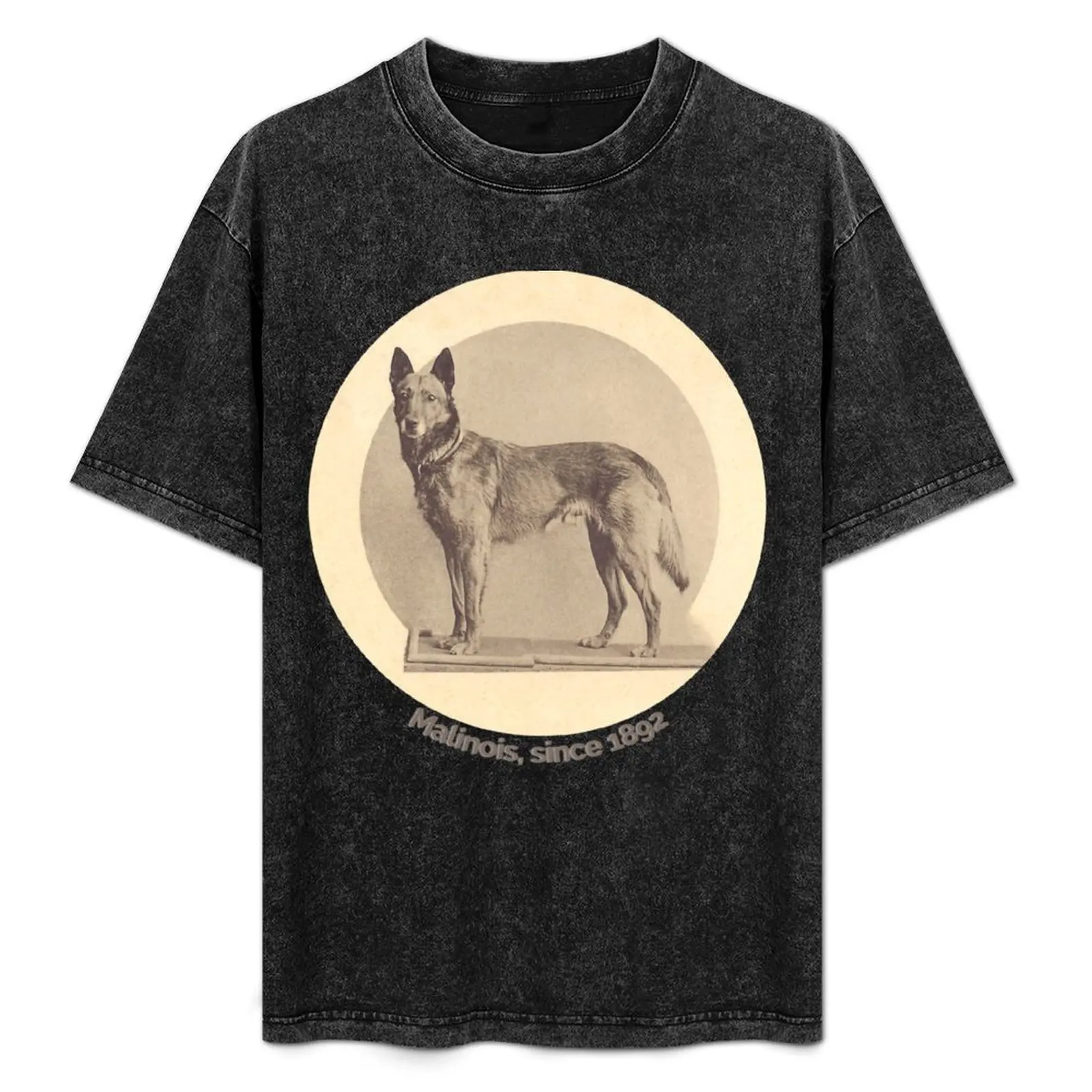 

Tjop, the first Malinois celebrity T-Shirt Basic Casual Wear Short Sleeve Top