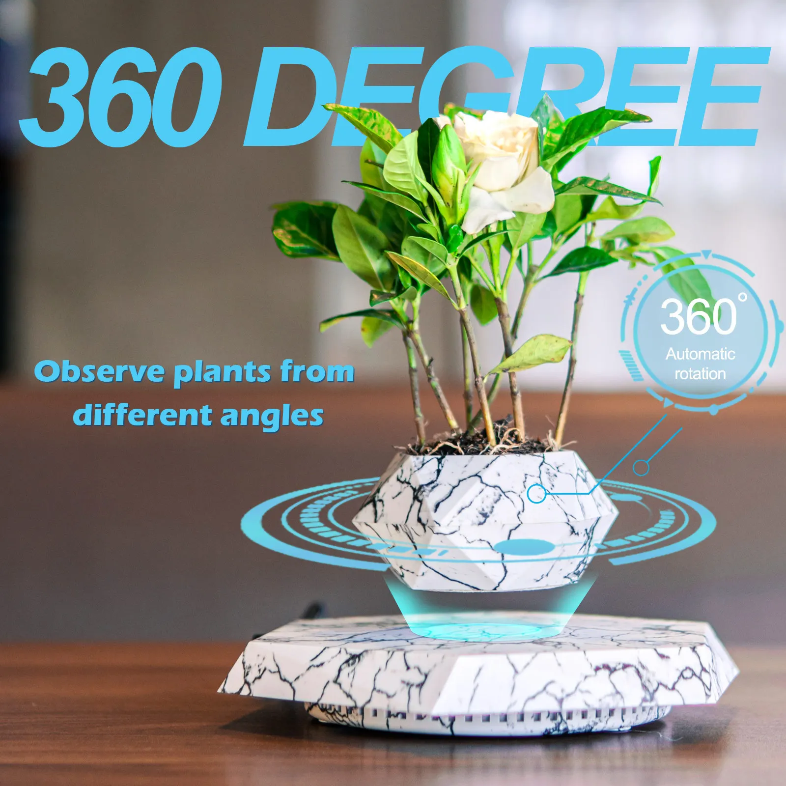 KJ Fashion Potted Plants Maglev Potted Plants Wholesale Processing Office Living Room Desktop Creative Ornament