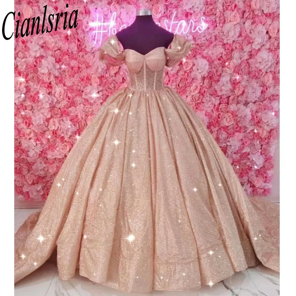 Sparkly  Ball Gown Quinceanera Dress Tulle  Off Shoulder Sweet 15 16 Birthday Party Formal