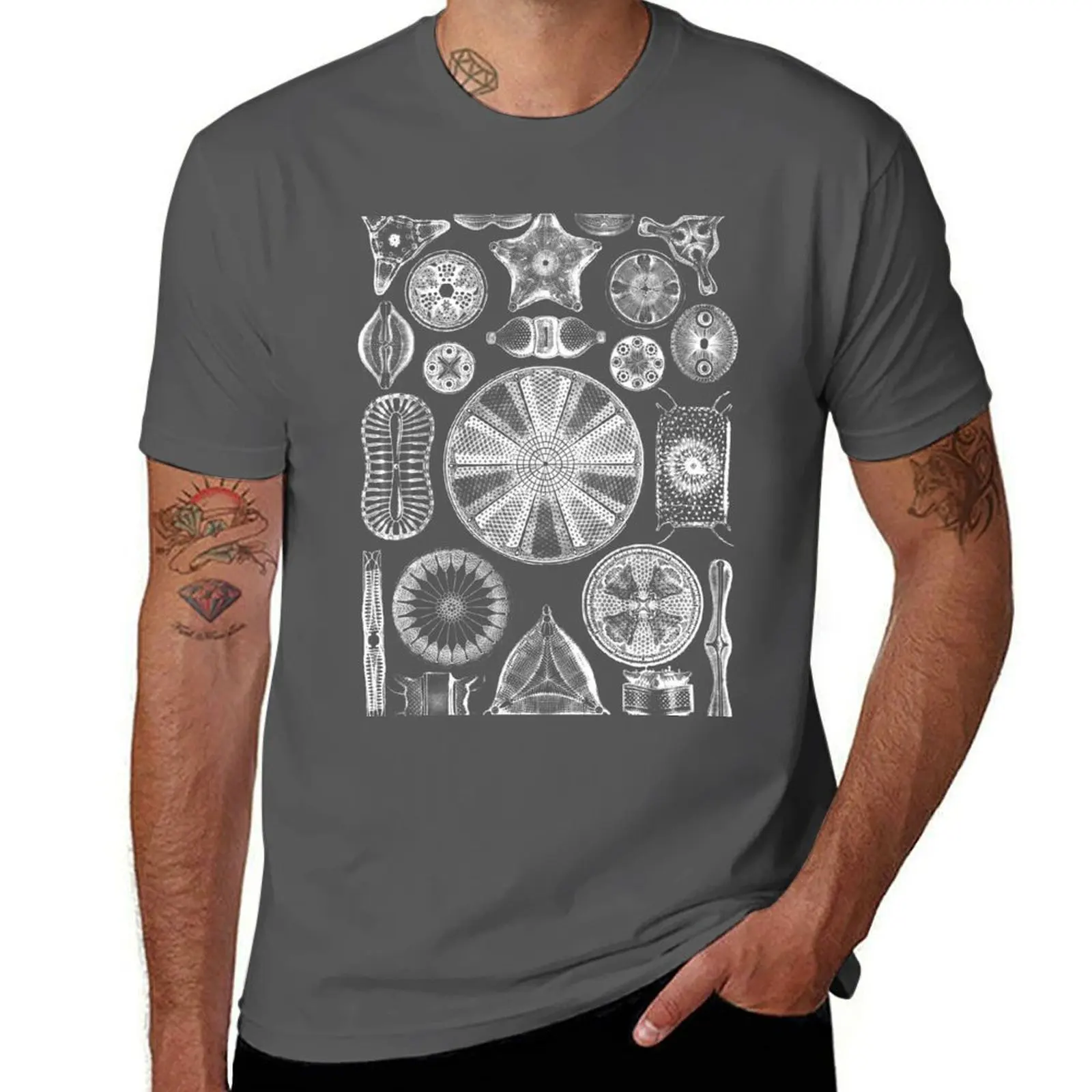 Ernst Haeckel Diatoms - outline only in white T-shirt vintage customizeds hippie clothes Short sleeve tee men