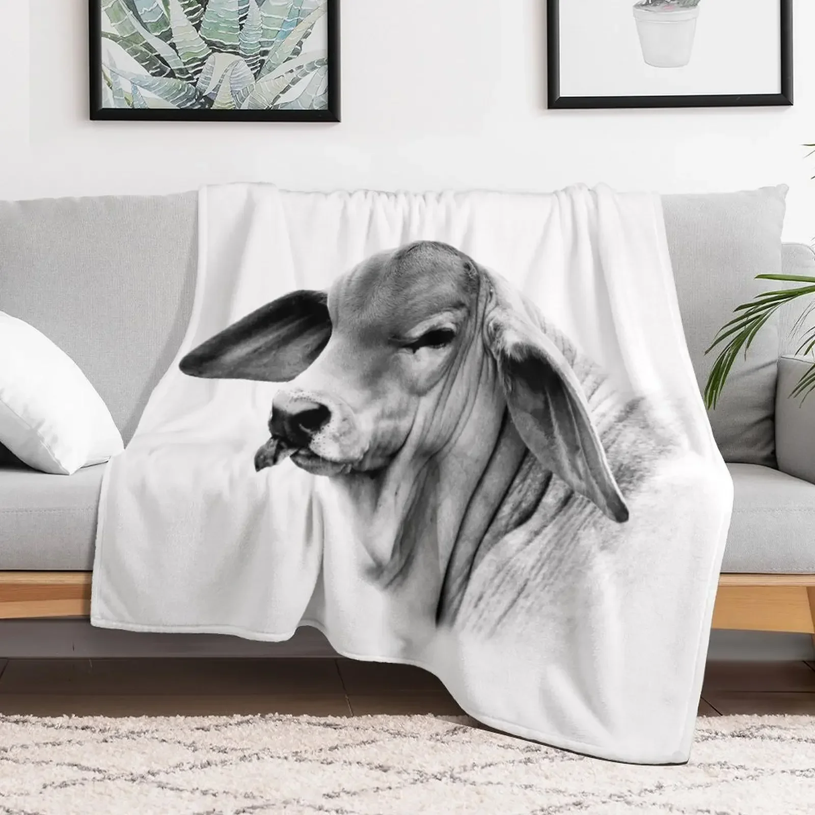 BRAHMAN CALF, PORTRAIT, WALL ART Throw Blanket Luxury St Bed Hairys Blankets