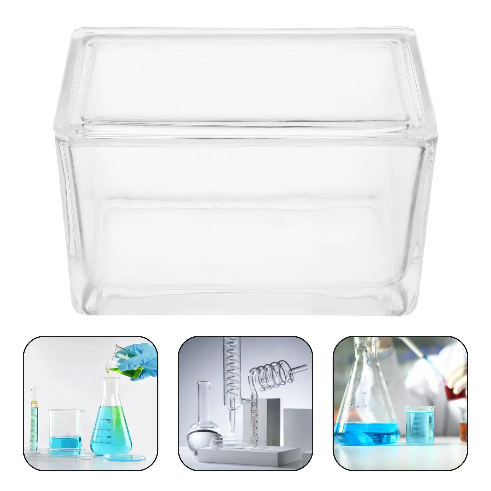 

Dyeing Vat Glass Slide Loading Rack Microscope Slides for Calibration Fecal Float Solution