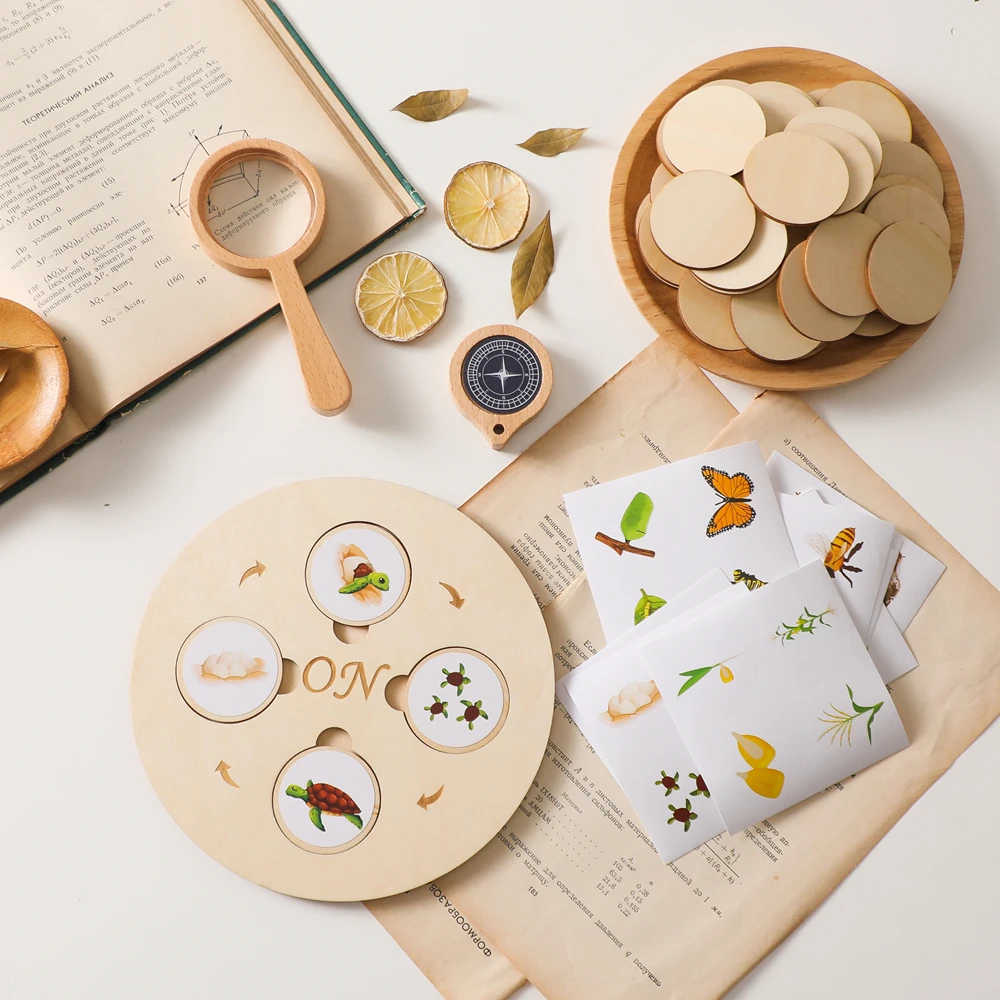 quebra-cabeca-de-ciclo-de-vida-em-madeira-montessori-brinquedo-educacional-circulo-de-crescimento-com-adesivos-diy-para-desenvolvimento-cognitivo-e-habilidades-manuais-em-placa-espessa