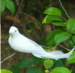 2pcs Fake Bird White Doves Artificial Foam Feathers Birds With Clip Pigeons Decoration For Wedding Christmas Home