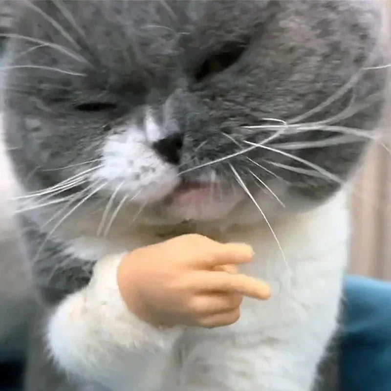 Cat Novelty Toys Teasing Cat TPR Soft Finger Gloves Funny Mini Hands Creative Finger Toys Fake Hand Cat Interactive Toys