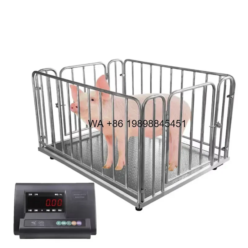Wmwmnu for Animal Livestock Cattle Pig Weight Floor Scale 3T Digital Sheep Measuring Weighting Scale With Fence