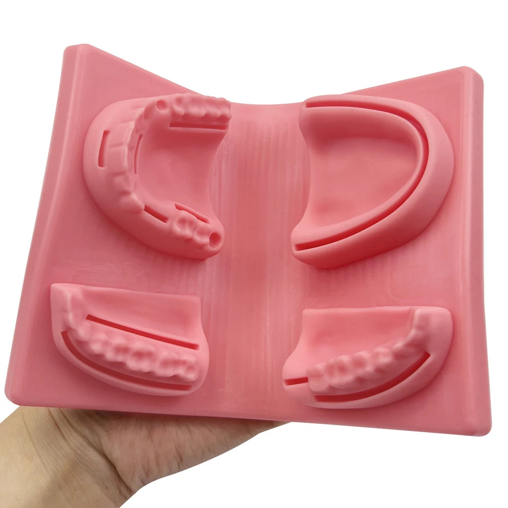 Dental Oral Periodontitis Suture Model Gum Suture Surgical Practice Medical Skin Suture Pad Model Silicone Suture Practice Kit