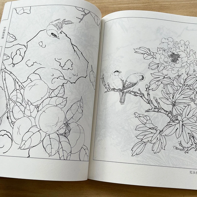 Chinese Line Drawing Manuscript Book Meticulous Painting Line Draft Set Bird Fruit Vegetable Martial Art Character Picture Album