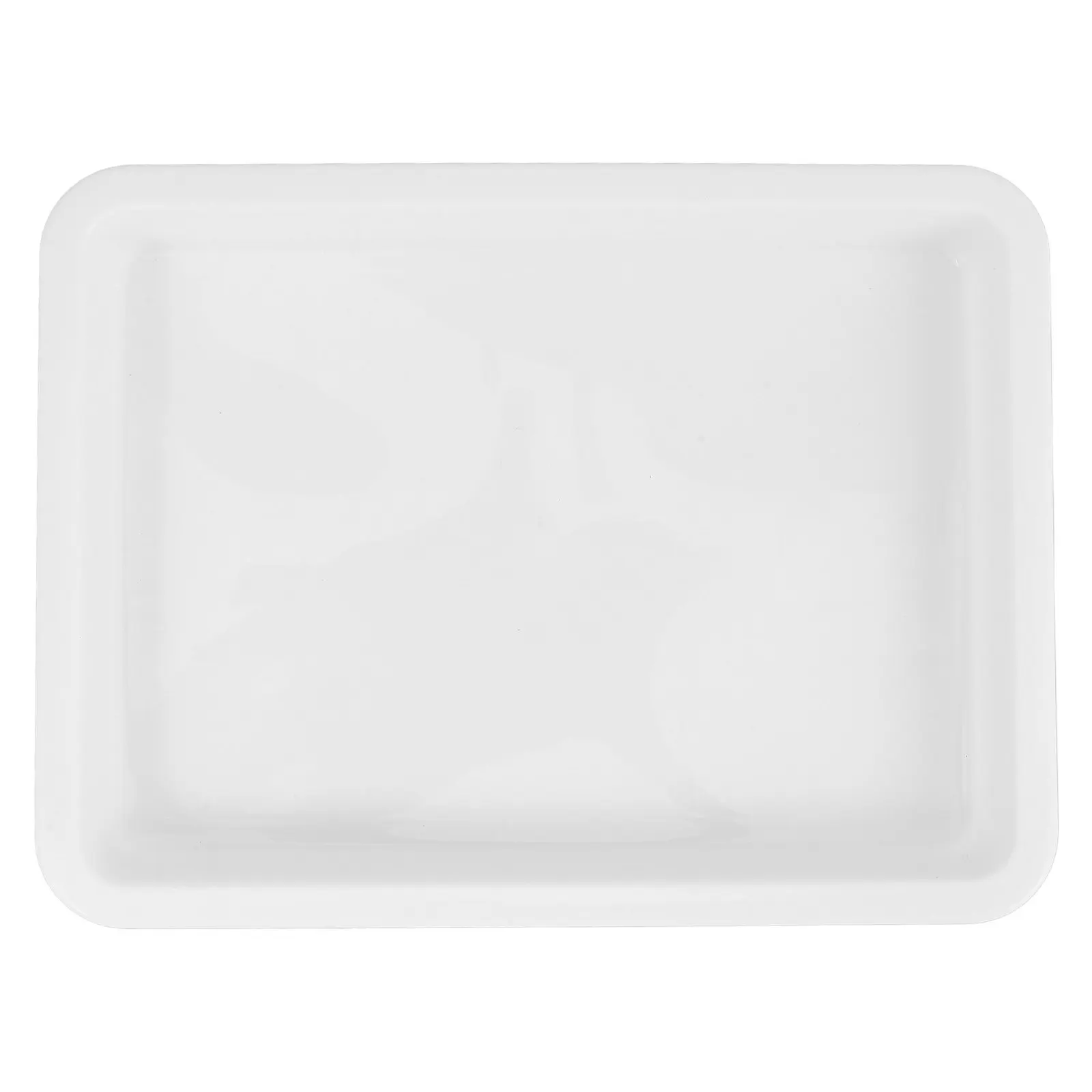 

Laboratory Tray 2.5cm Deep Plastic Chemical Reagent Plate Multi-Functional Storage Organizer for Experiments Teaching Supplies