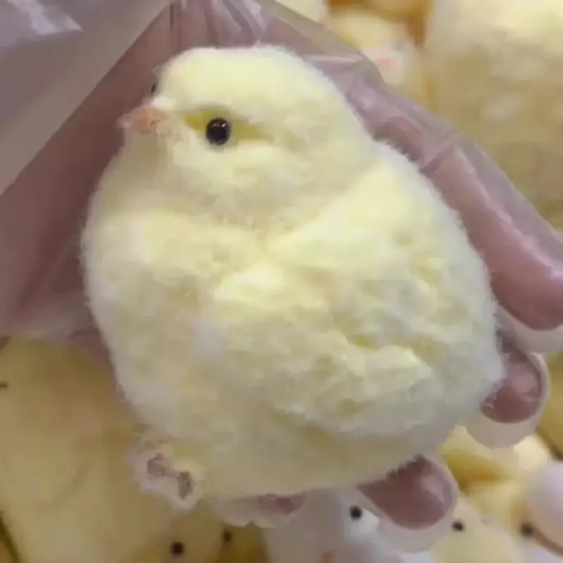 Jouets à presser en Silicone souple fait à la main, poussin mignon, recommandés pour jouer dans les sacs sans mains sales, jouets Super doux pour les fêtes