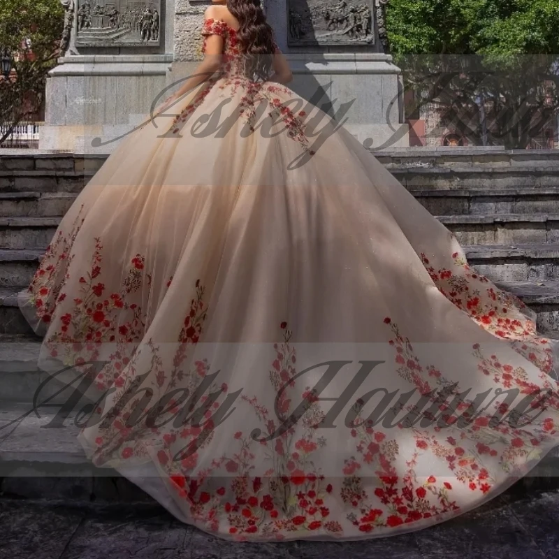 

Customized Luxury Women Birthday Party Dresses Special Occasion Wear Flower Applique Lace Up Vestido De xv Quinceanera 15 Girl