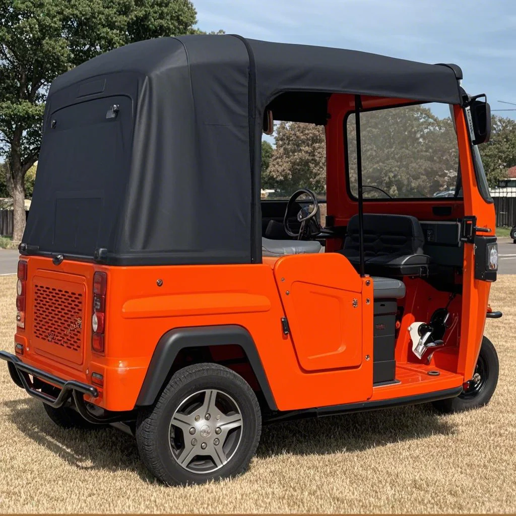 

Hot Sale Passenger car electric tricycle